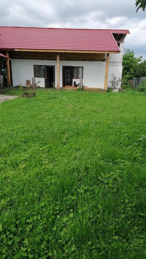 Вилла Jugul Taranului Agropensiune Polovragi, Gorj Экстерьер фото