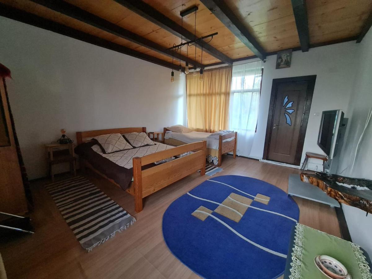 Вилла Jugul Taranului Agropensiune Polovragi, Gorj Экстерьер фото